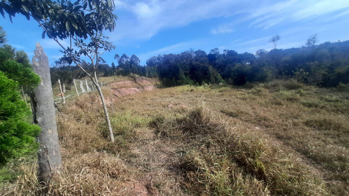 Sítio, 8 quartos, 22 hectares - Foto 14