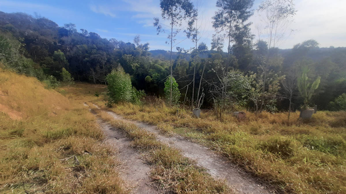 Sítio, 8 quartos, 22 hectares - Foto 15