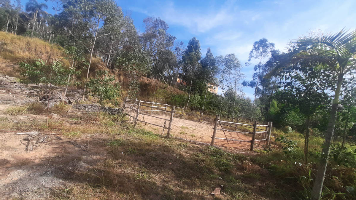 Sítio, 8 quartos, 22 hectares - Foto 19