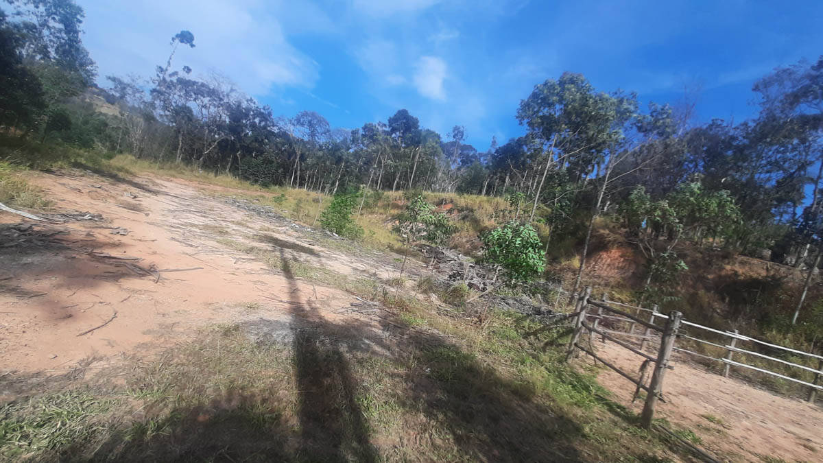 Sítio, 8 quartos, 22 hectares - Foto 20