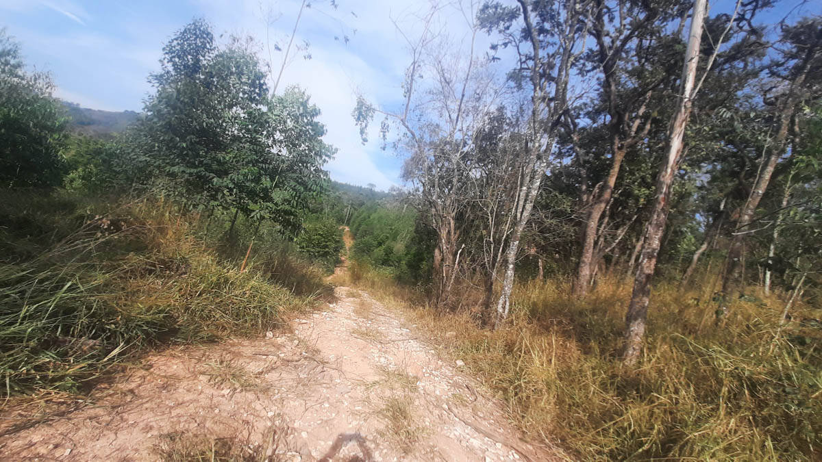 Sítio, 8 quartos, 22 hectares - Foto 21