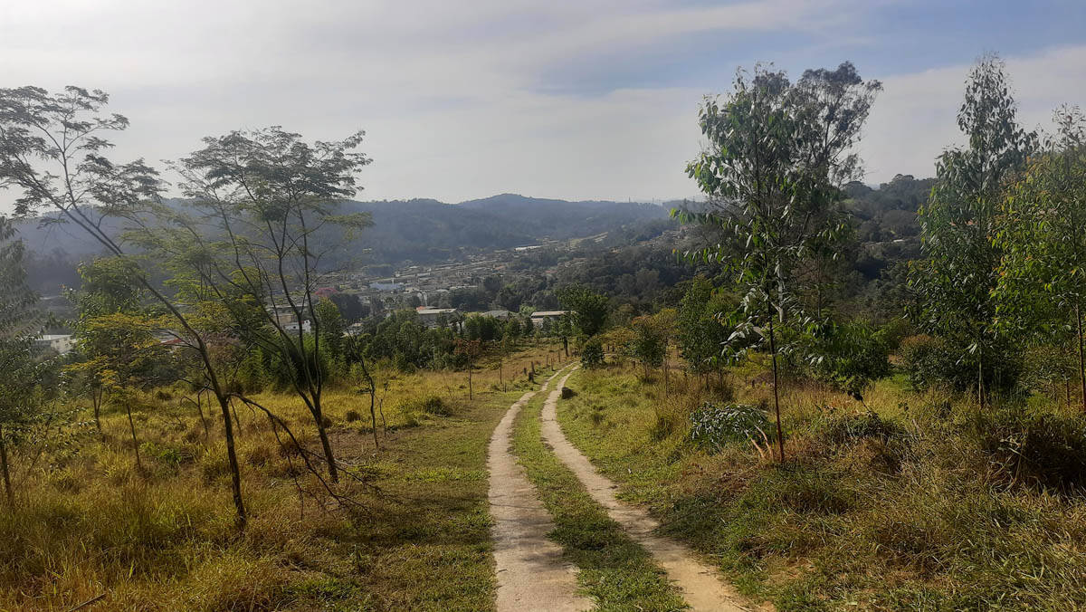 Sítio, 8 quartos, 22 hectares - Foto 24