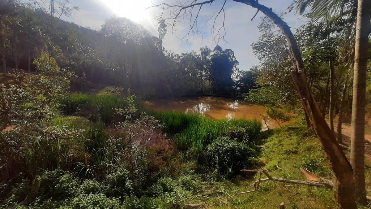 Sítio, 8 quartos, 22 hectares - Foto 40