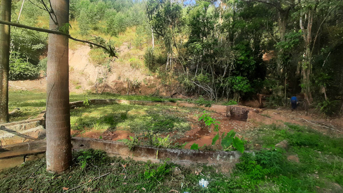 Sítio, 8 quartos, 22 hectares - Foto 43