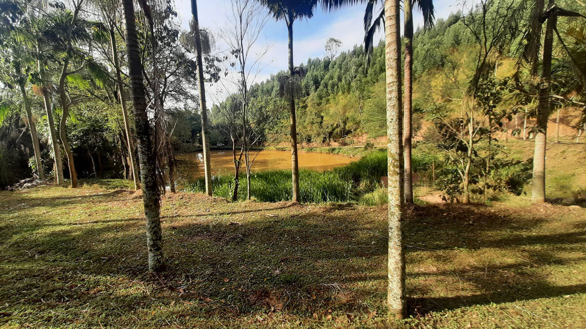 Sítio, 8 quartos, 22 hectares - Foto 45