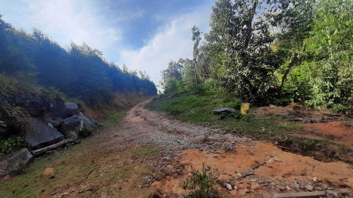 Sítio, 8 quartos, 22 hectares - Foto 47