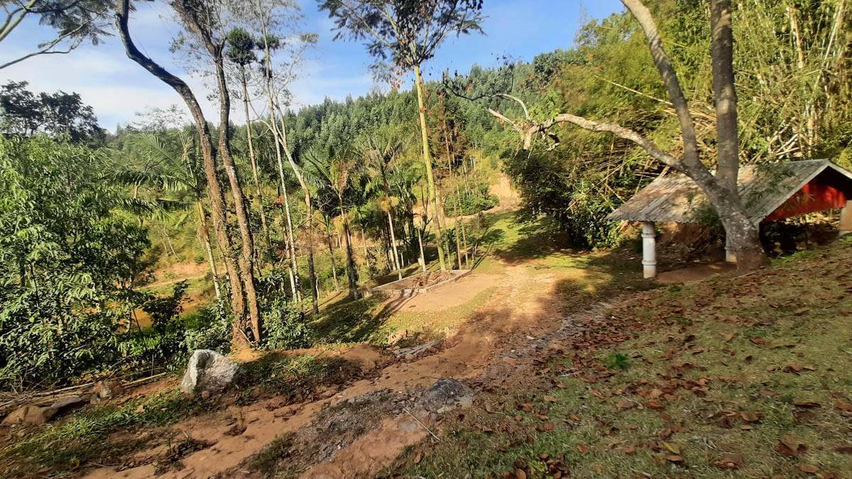 Sítio, 8 quartos, 22 hectares - Foto 48