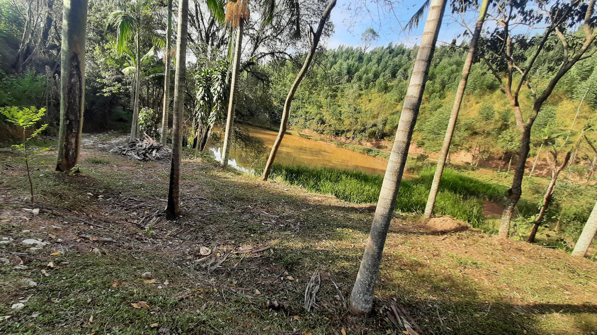 Sítio, 8 quartos, 22 hectares - Foto 49