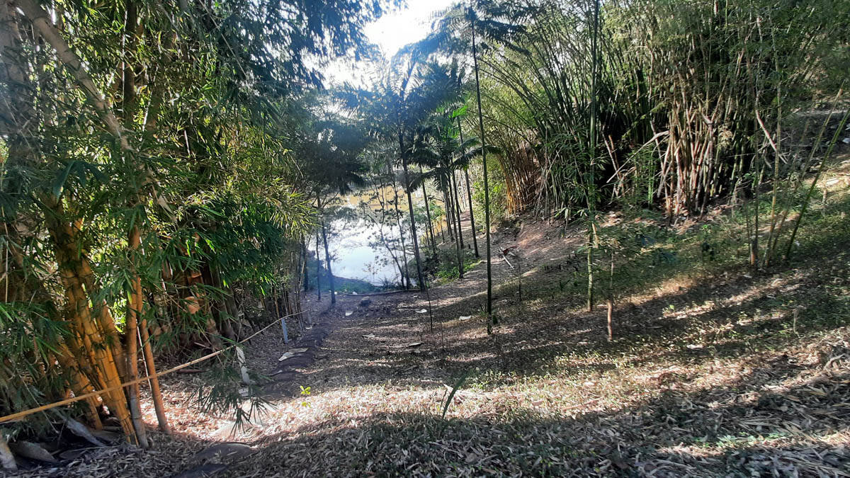 Sítio, 8 quartos, 22 hectares - Foto 51