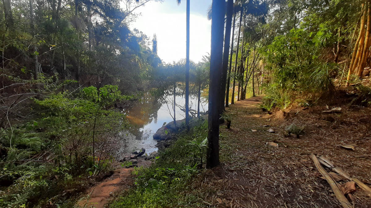 Sítio, 8 quartos, 22 hectares - Foto 53