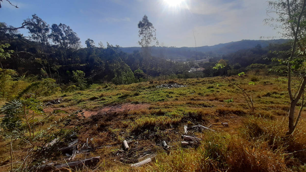 Sítio, 8 quartos, 22 hectares - Foto 59