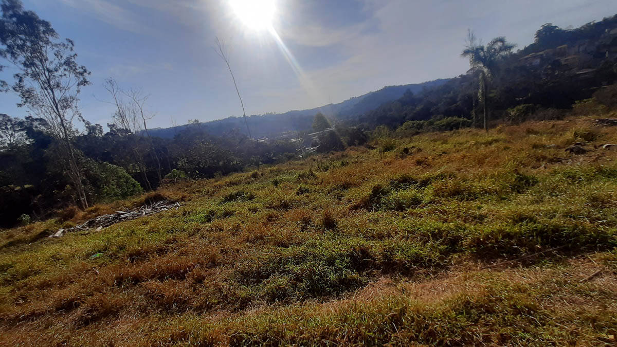 Sítio, 8 quartos, 22 hectares - Foto 61