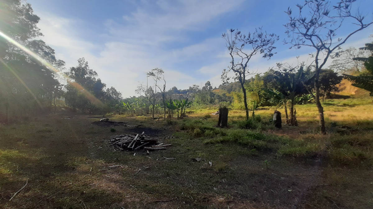 Sítio, 8 quartos, 22 hectares - Foto 64