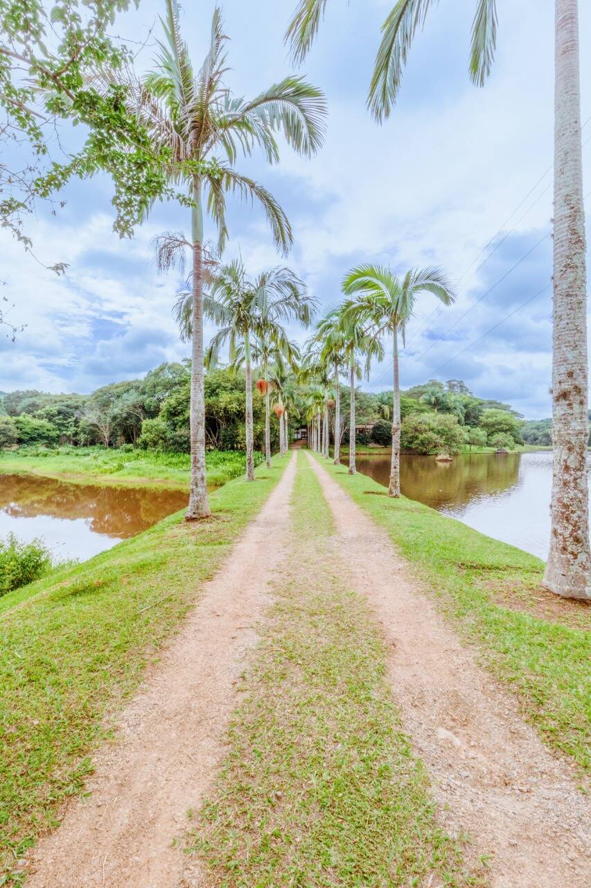 Sítio, 5 quartos, 46 hectares - Foto 2