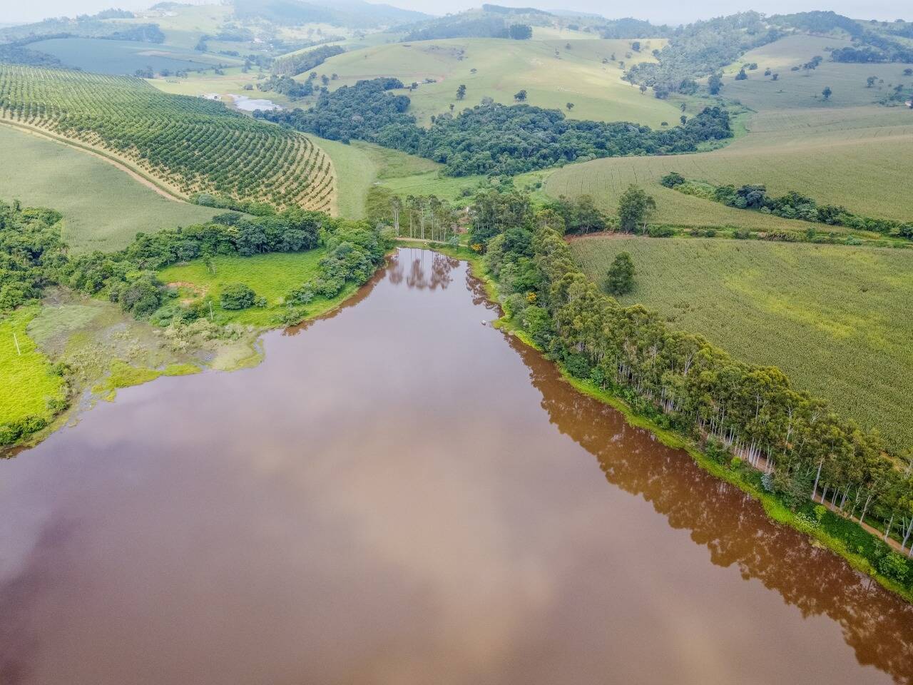 Sítio, 5 quartos, 46 hectares - Foto 3