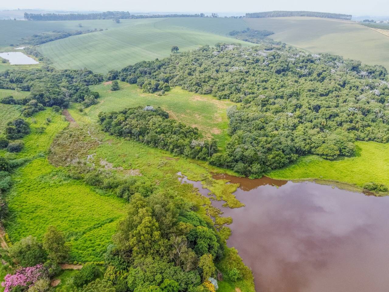 Sítio, 5 quartos, 46 hectares - Foto 4