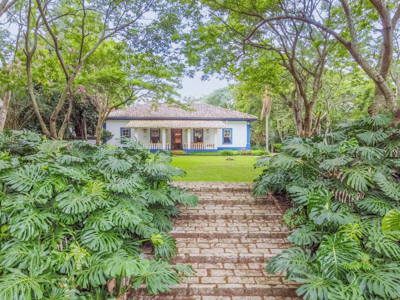 Sítio, 5 quartos, 46 hectares - Foto 5