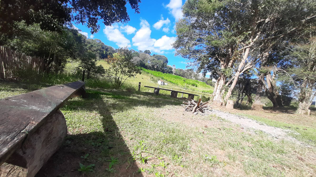 Terreno, 19 hectares - Foto 13