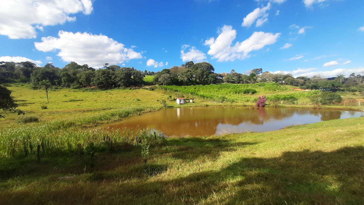 Terreno, 19 hectares - Foto 14