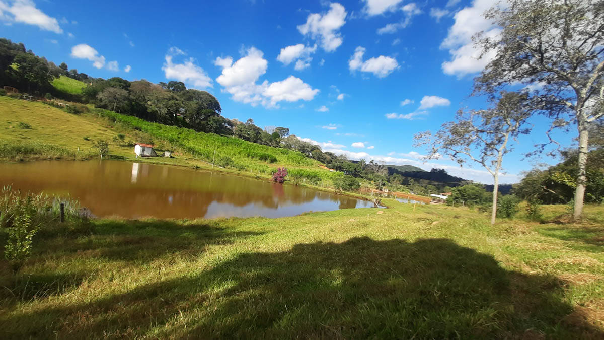 Terreno, 19 hectares - Foto 15