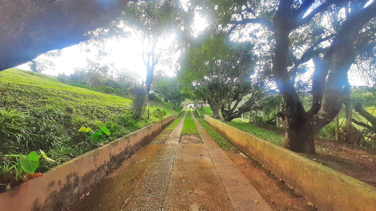 Terreno, 19 hectares - Foto 35