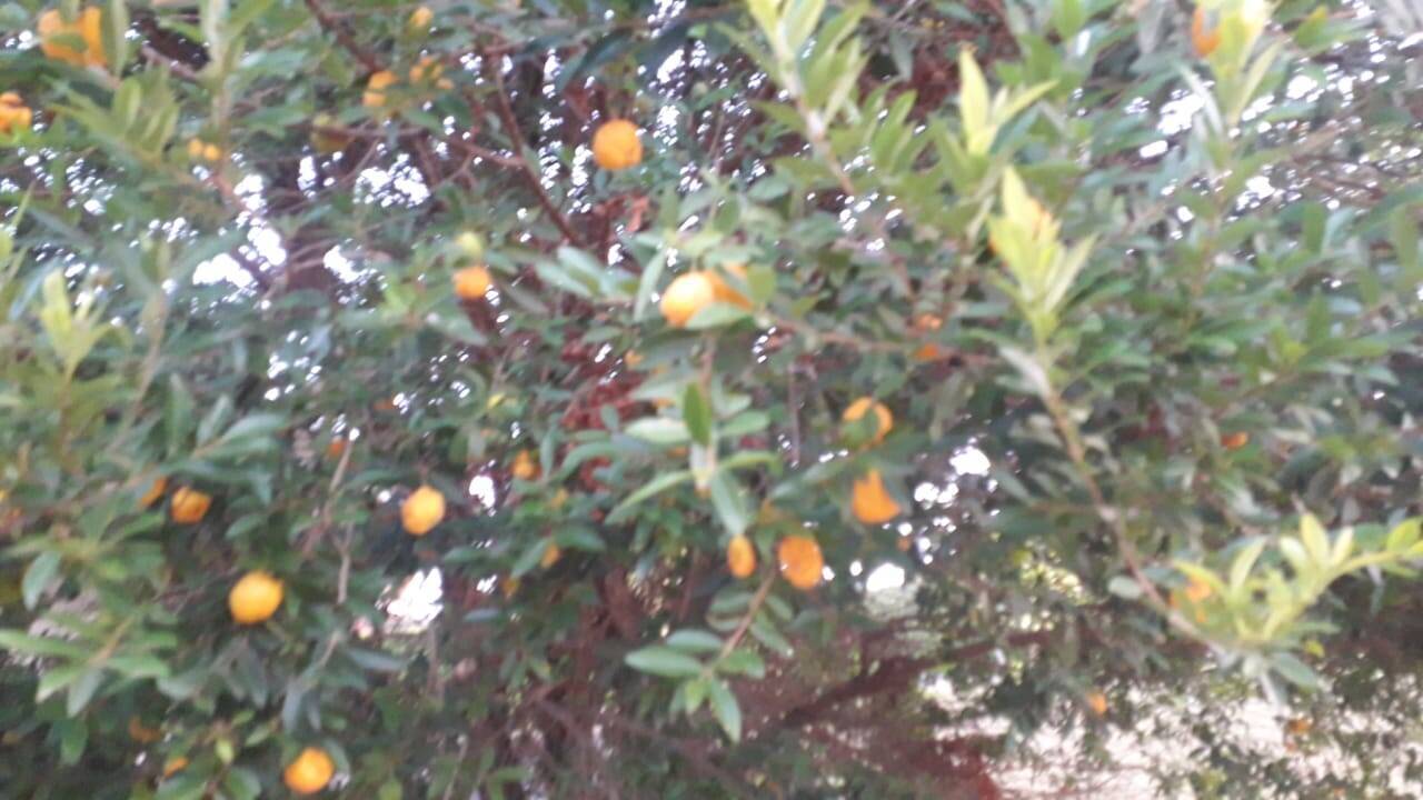 Casa de Condomínio, 4 quartos - Foto 25