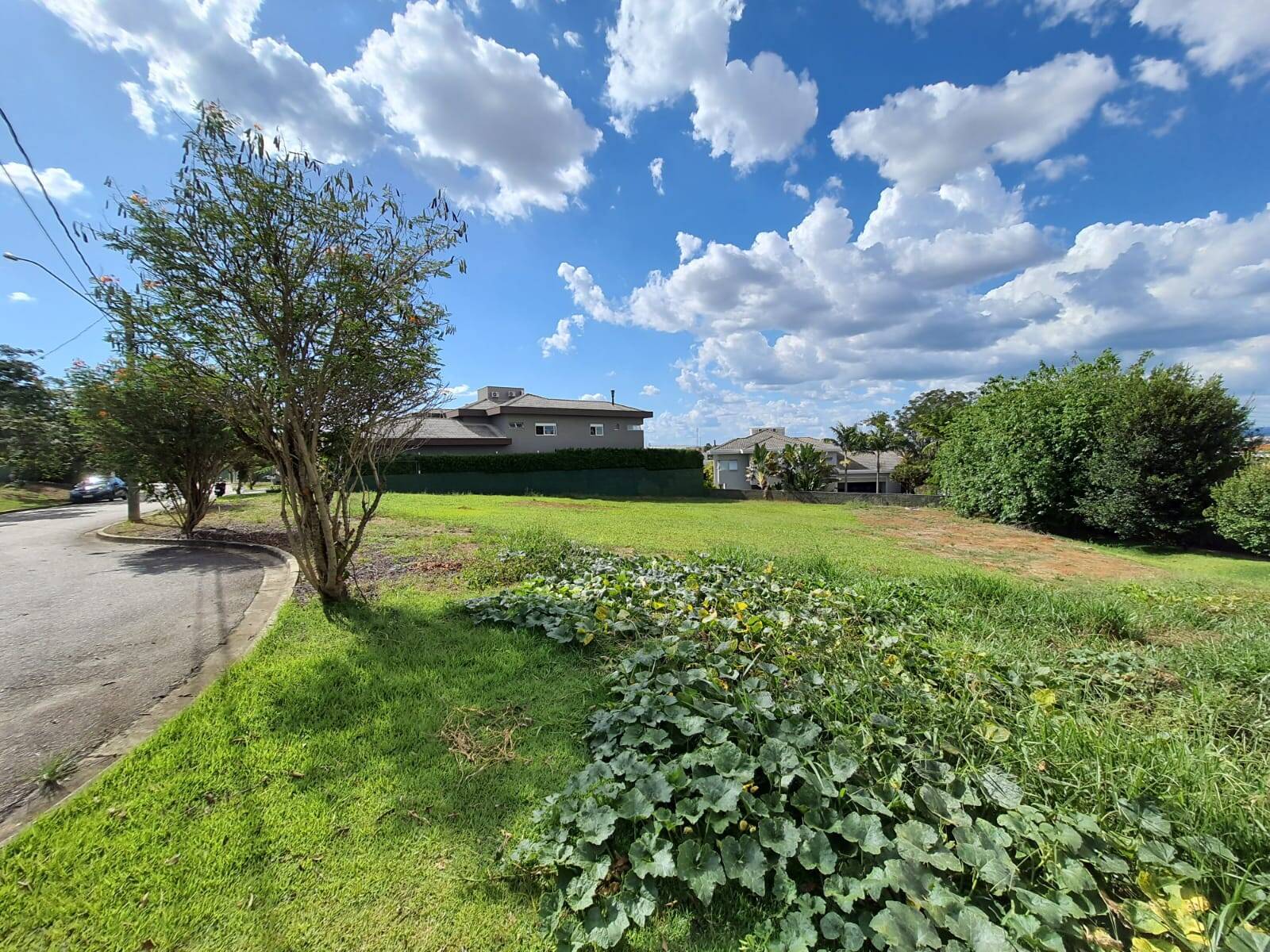 Terreno, 800 m² - Foto 1