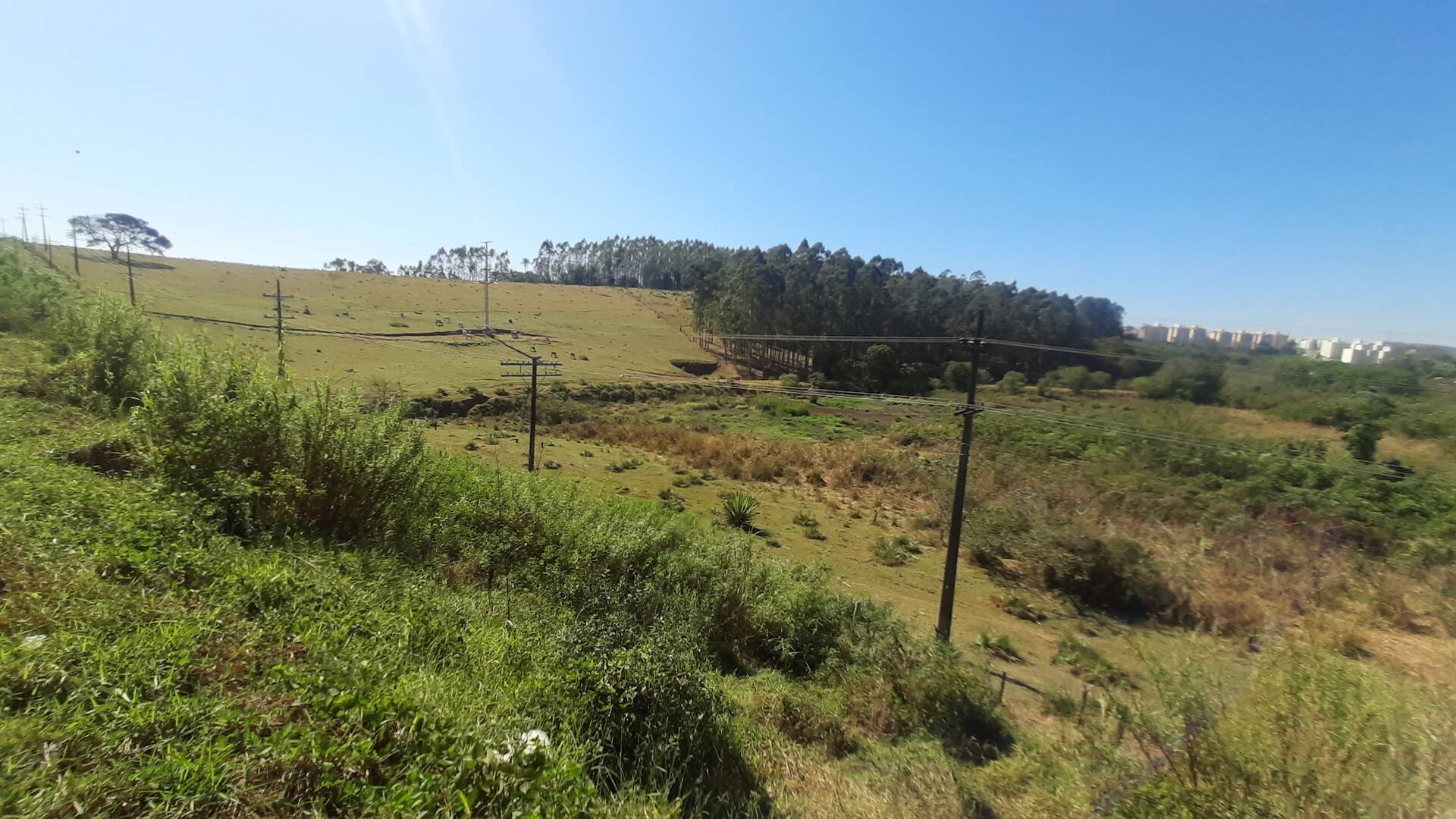 Prédio Inteiro - Foto 4