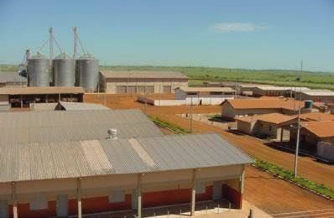 Terreno, 10 hectares - Foto 5