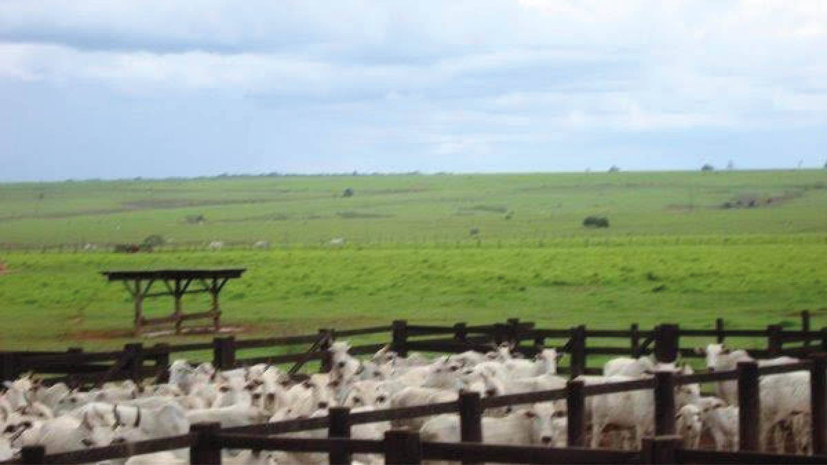 Terreno, 10 hectares - Foto 7