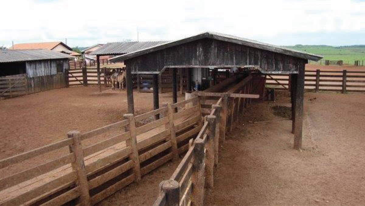 Terreno, 10 hectares - Foto 8