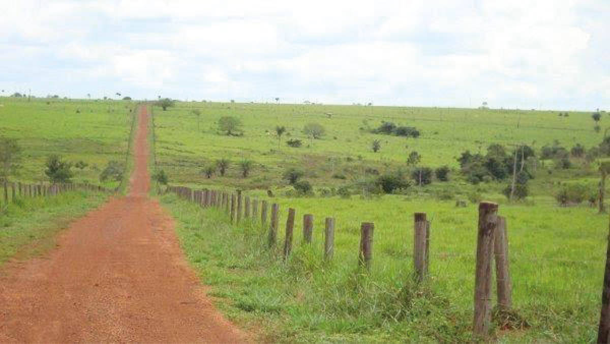 Terreno, 10 hectares - Foto 9