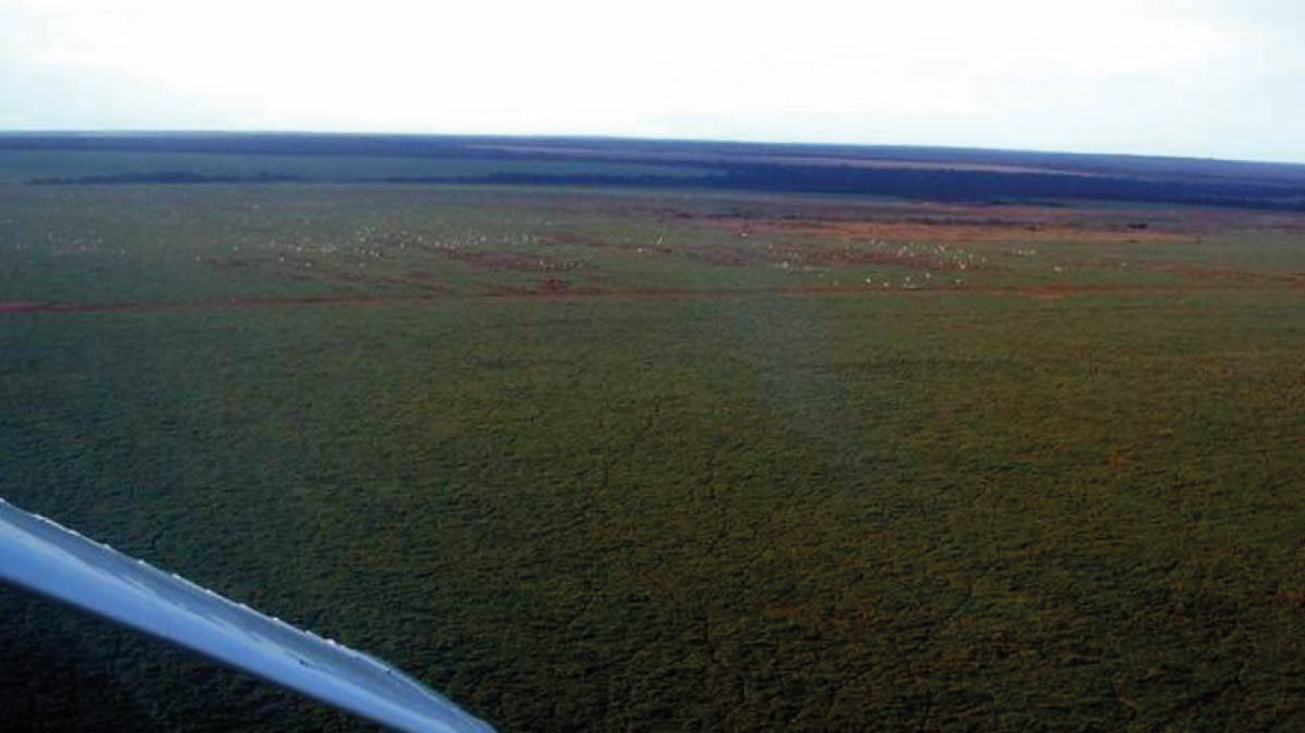 Terreno, 10 hectares - Foto 11