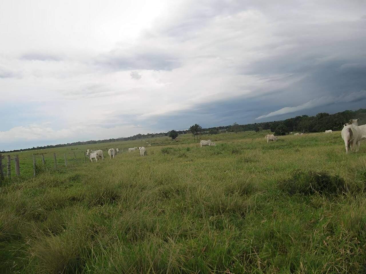 Terreno, 2541 m² - Foto 9