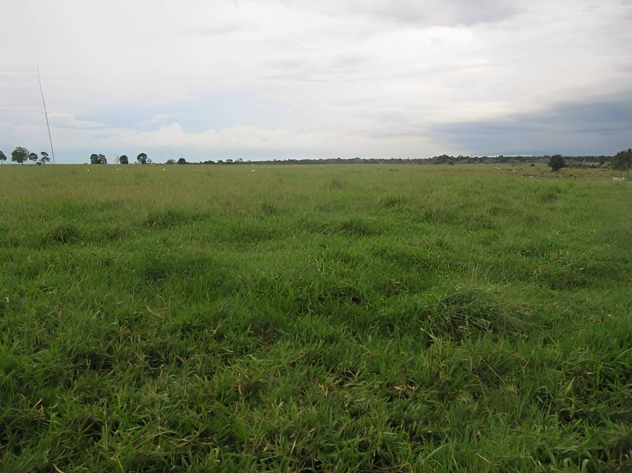 Terreno, 2541 m² - Foto 10