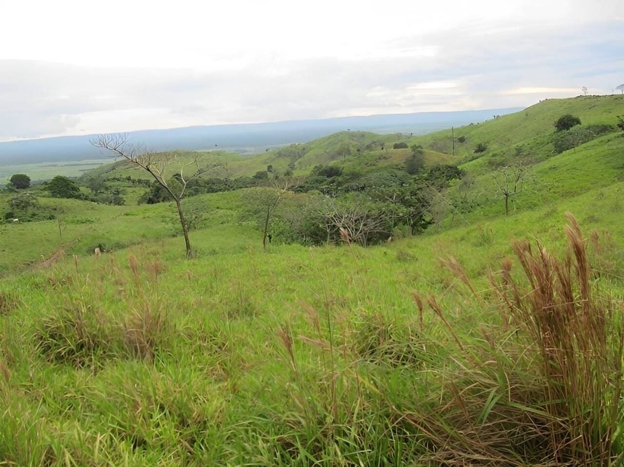 Terreno, 2541 m² - Foto 11