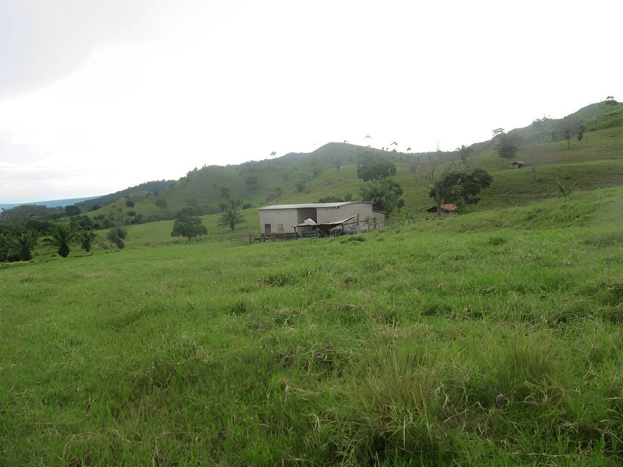 Terreno, 2541 m² - Foto 12