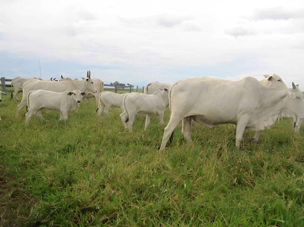 Terreno, 2541 m² - Foto 1