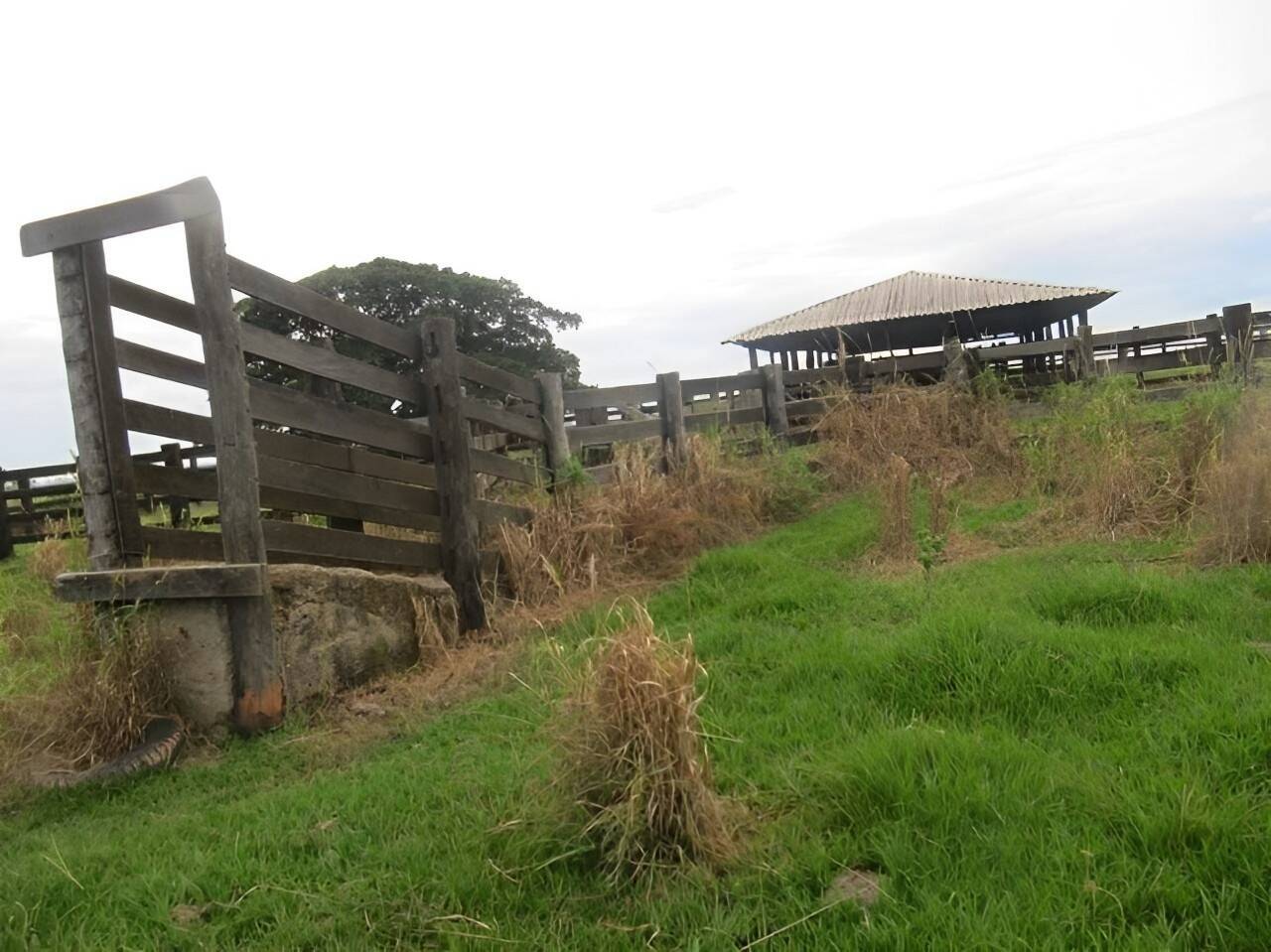 Terreno, 2541 m² - Foto 14