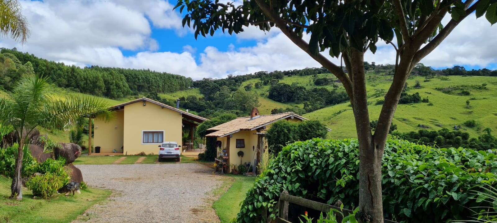 Sítio, 3 quartos, 2 hectares - Foto 3