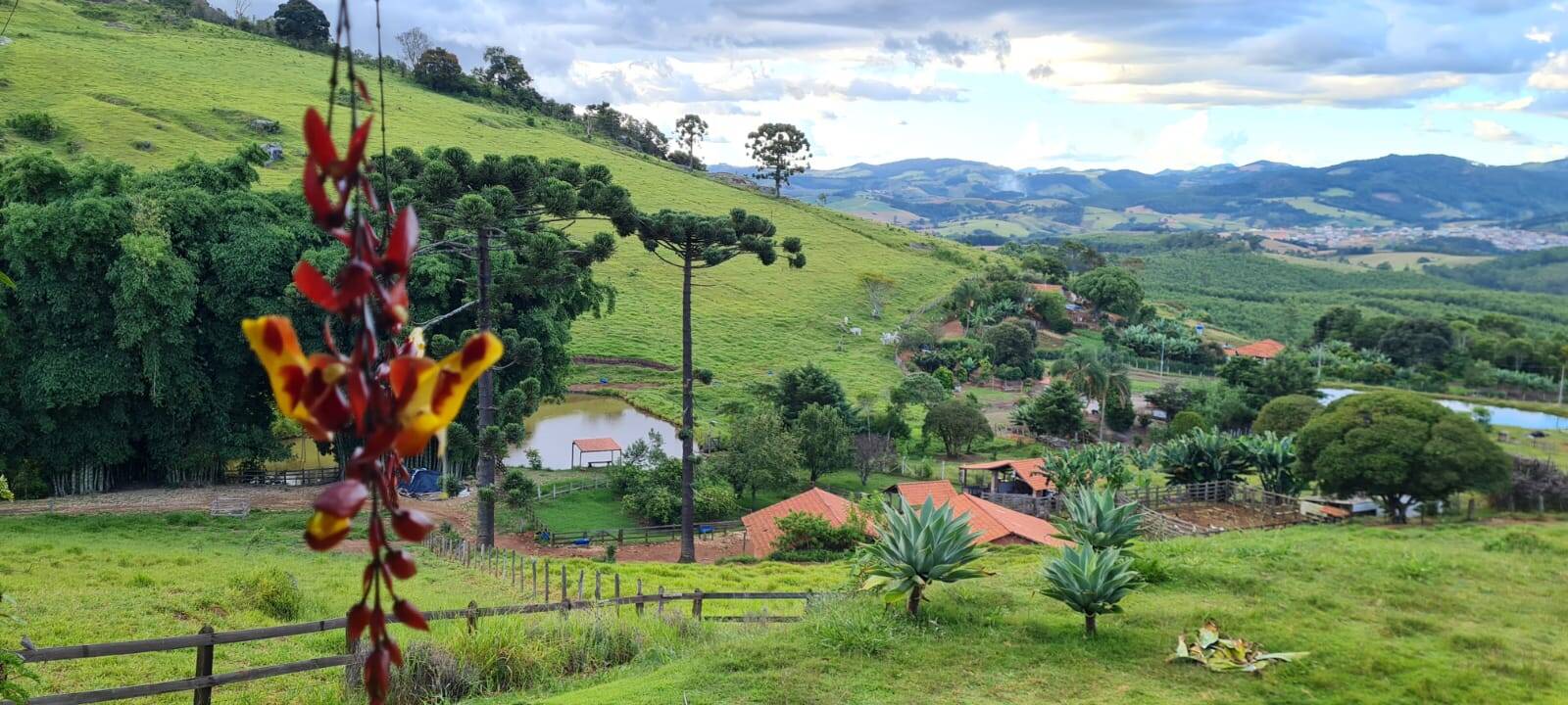 Sítio, 3 quartos, 2 hectares - Foto 5