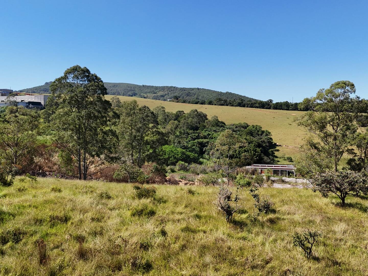 Terreno, 2 hectares - Foto 13