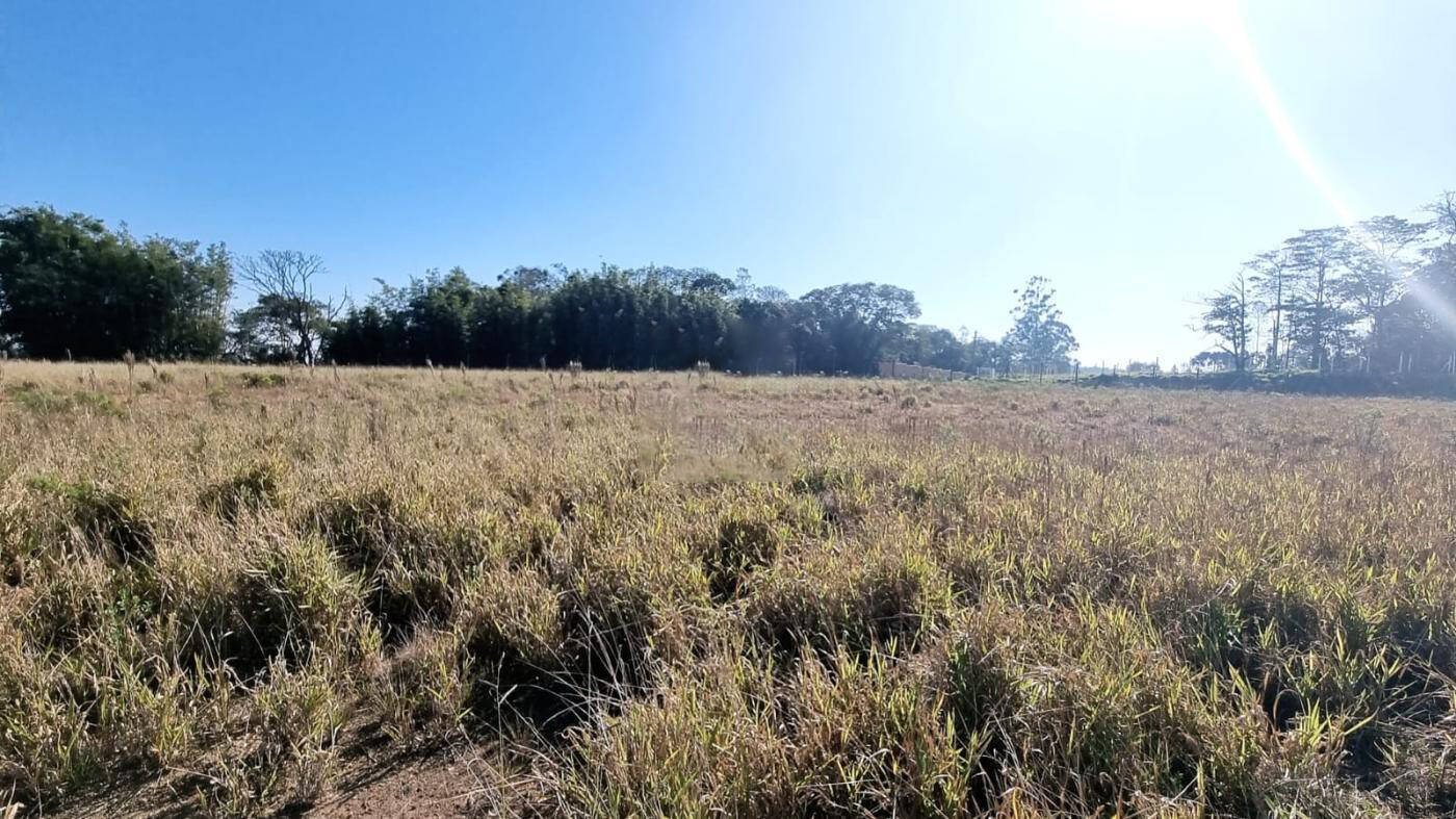 Terreno, 8 hectares - Foto 2