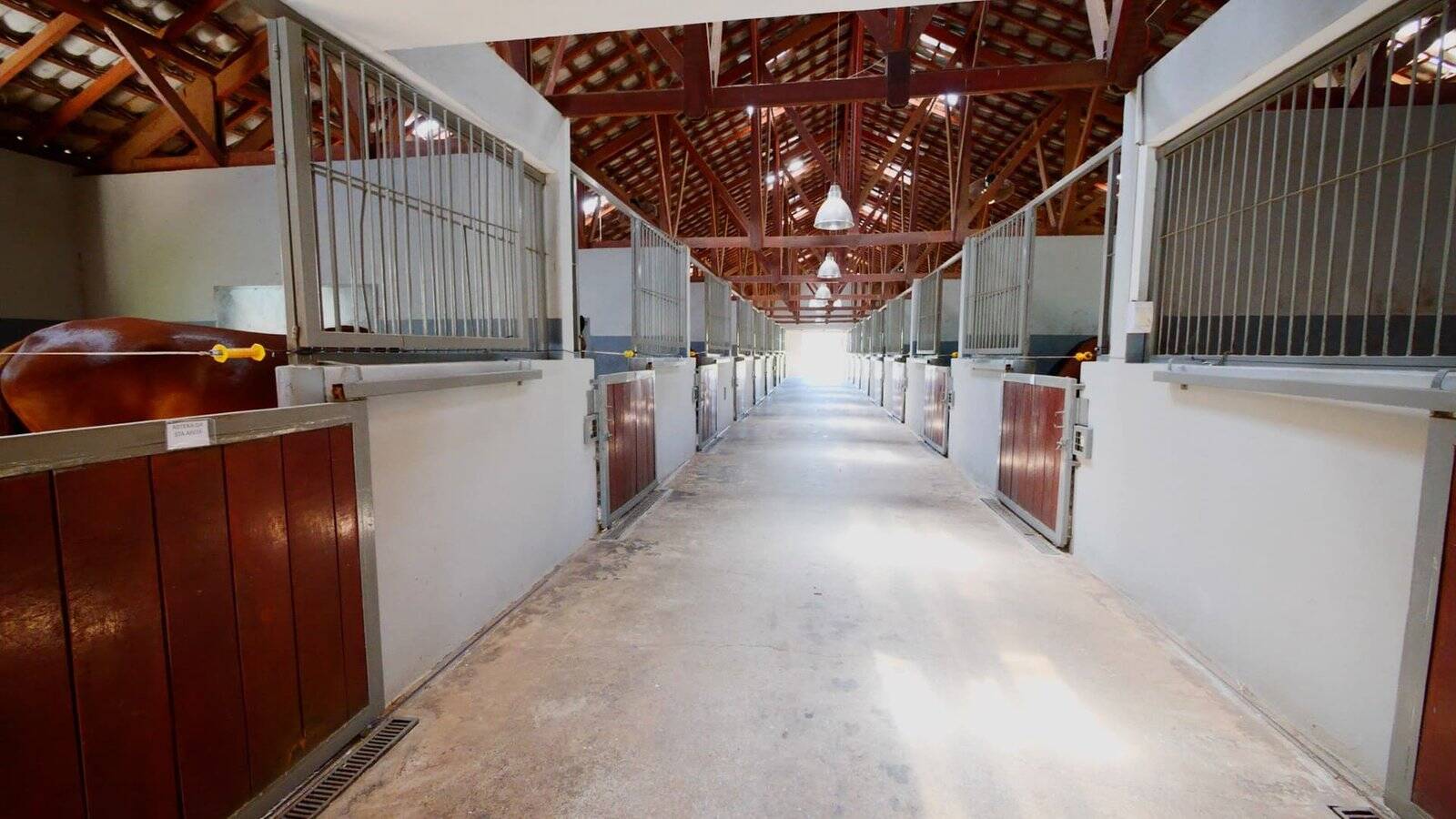 Sítio, 10 quartos, 16 m² - Foto 29