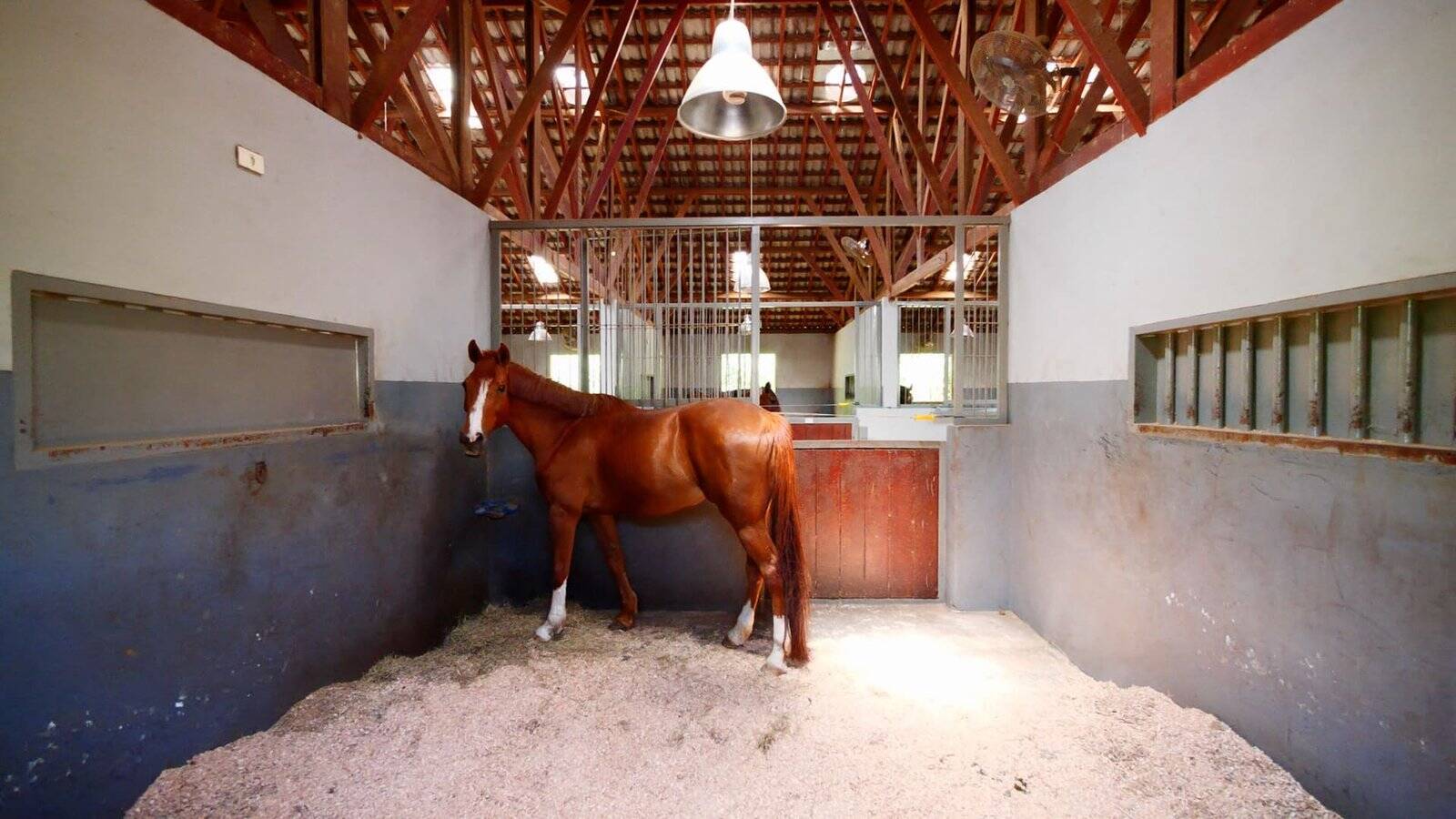 Sítio, 20 quartos - Foto 33