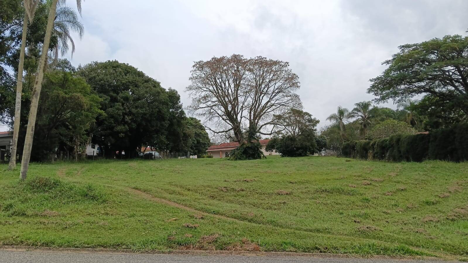 Terreno - Foto 1