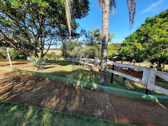 #RRL002 - Haras para Venda em Bragança Paulista - SP - 2