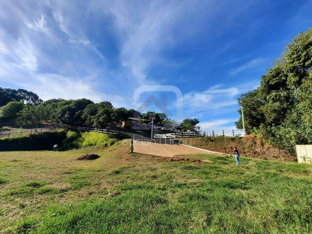 #RRL002 - Haras para Venda em Bragança Paulista - SP - 3