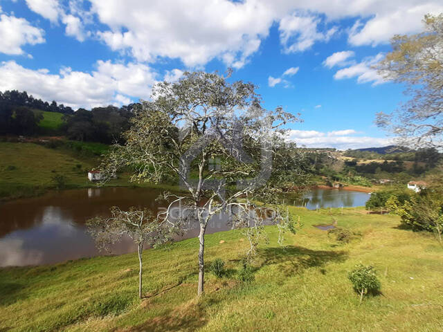 #RRL025 - Sítio para Venda em Bragança Paulista - SP - 3