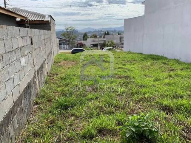 #TRNPSR002 - Área para Venda em Bragança Paulista - SP - 2